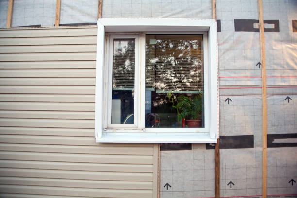 Best Siding Painting and Refinishing  in Bonanza, GA
