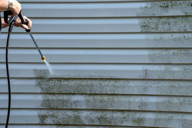 Best Engineered Wood Siding  in Bonanza, GA