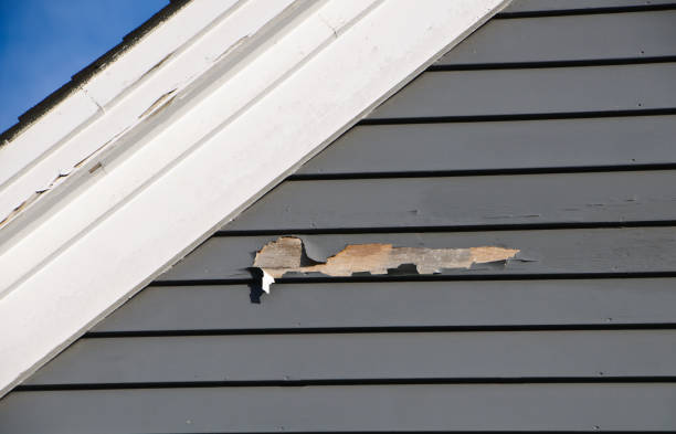 Best Siding Repair  in Bonanza, GA