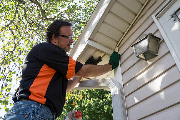 Affordable siding repair and maintenance services in Bonanza, GA